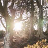 Tsukiyama woven by the seasonal nature