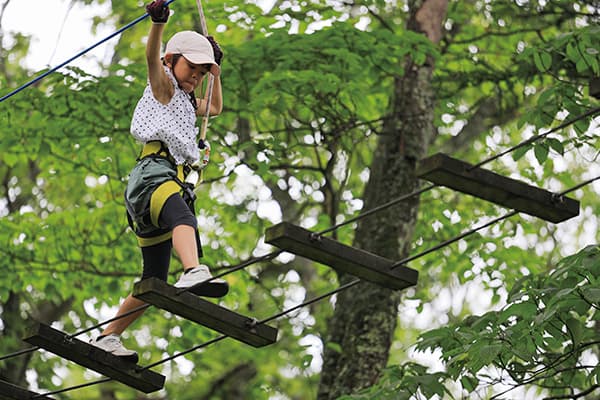 Forest Adventure